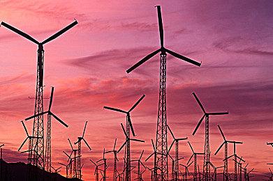 TikTok有更多竞争对手！马斯克想复活短视频鼻祖Vine